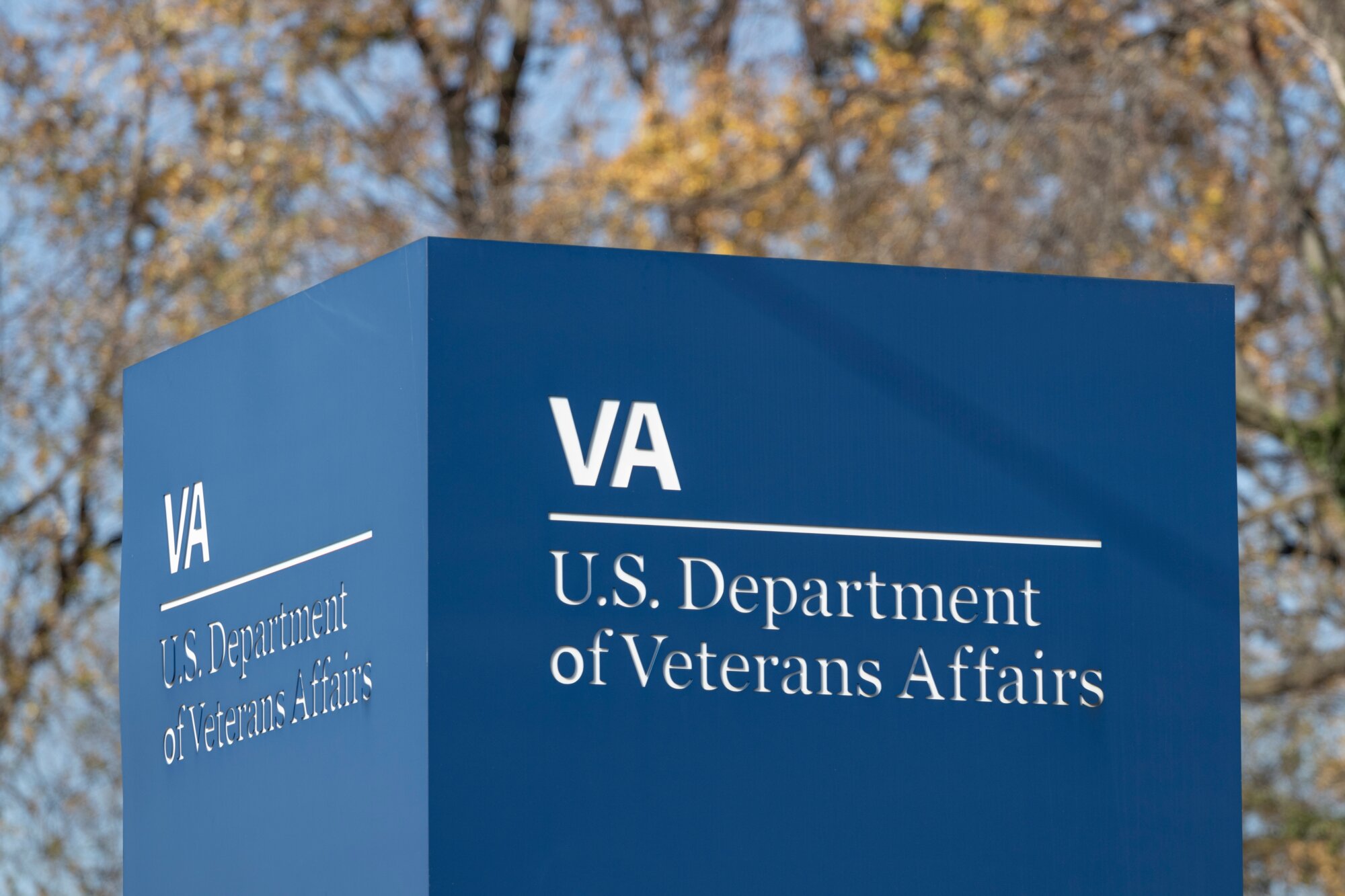 The Guardian: VA doctors warn cuts, privatization threaten veterans ...